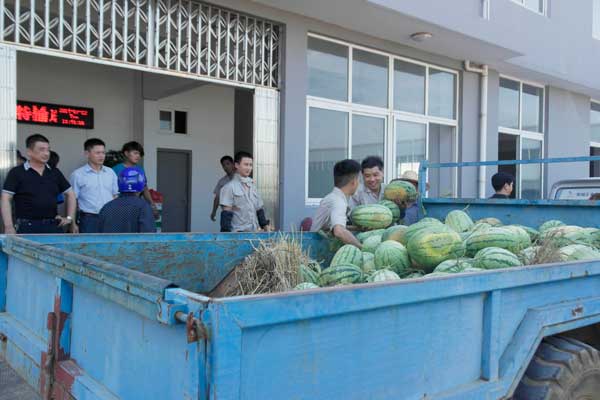 政府送清凉正在搬运西瓜